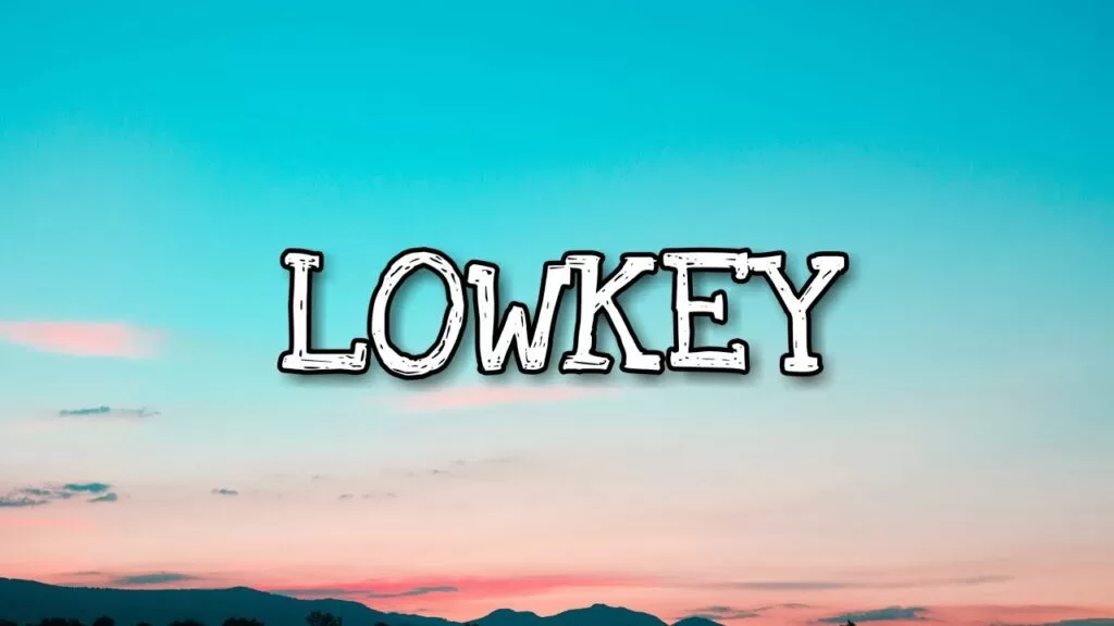 lowkey la gi